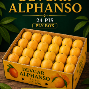 file 00000000e794720c8d8cc84a4e8c1d31.png